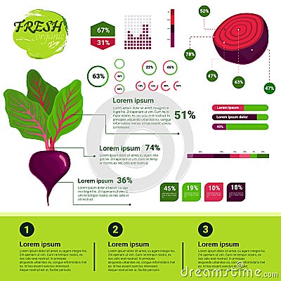 Fresh Organic Infographics Natural Vagetables Growth, Agriculture And Farming Vector Illustration