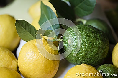 Fresh organic lime and lemons Stock Photo
