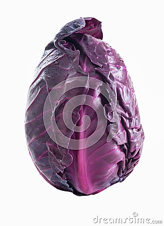 Fresh Organic Red Pointed Cabbage Stock Photo