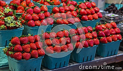 Fresh, organic red strawberries Stock Photo