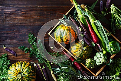 Fresh organic seasonal vegetables Stock Photo