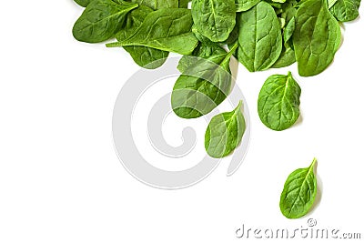 Fresh organic spinach leaves as a corner background with copy space isolated on white, high angle top view from above Stock Photo