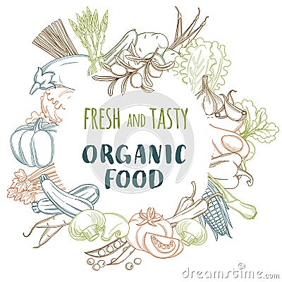 Fresh organic spring summer vegetables frame. Contour design on Cartoon Illustration