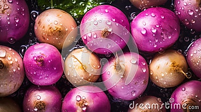 Fresh Organic Turnip Vegetable Horizontal Background. Stock Photo