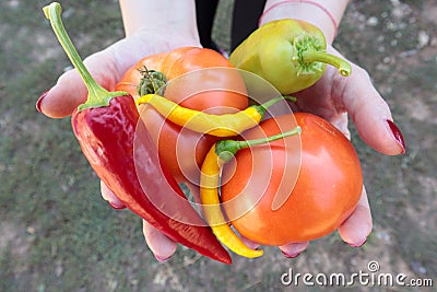 Fresh organic vegetables in women hands Stock Photo