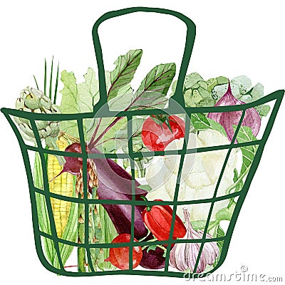 Fresh organic watercolor vegetables in zero waste bags line art. Banner with veggies in eco-friendly package. Stock Photo