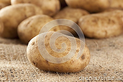 Fresh Organic Whole Potato Stock Photo