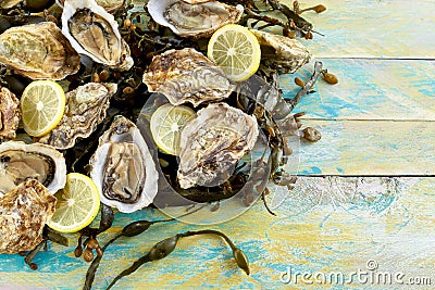 Fresh oyster and seaweed still life Stock Photo