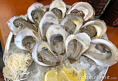 Fresh Oysters on Ice with Lemon Wedges Stock Photo