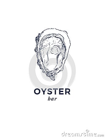 Fresh oysters, luxury seafood. Vector illustration of oysters Vector Illustration