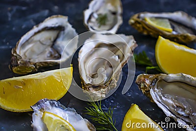 Fresh oysters oyster mollusk delicatessen aphrodisiac counter culinary pieces lemon ice delicious Stock Photo