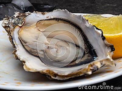 Fresh Oysters in plate, lemon, shells on marble. Delicacy super food, rich in antioxidants, vitamin, zinc Stock Photo