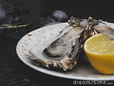 Fresh Oysters in plate, lemon, shells on marble. Delicacy super food, rich in antioxidants, vitamin, zinc Stock Photo