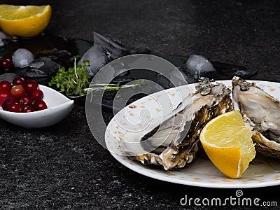 Fresh Oysters in plate, lemon, shells on marble. Delicacy super food, rich in antioxidants, vitamin, zinc Stock Photo