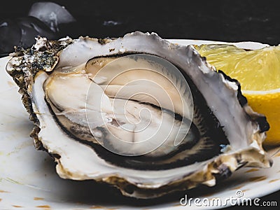 Fresh Oysters in plate, lemon, shells on marble. Delicacy super food, rich in antioxidants, vitamin, zinc Stock Photo