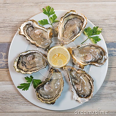 Fresh oysters white plate and lemon on wooden desk Stock Photo