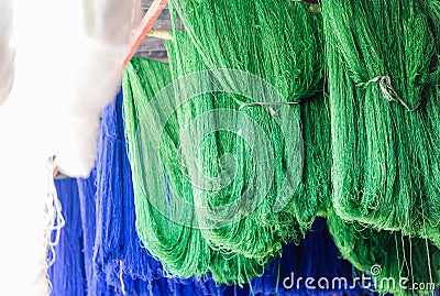 Fresh painted in green and blu colour sheep wool Stock Photo