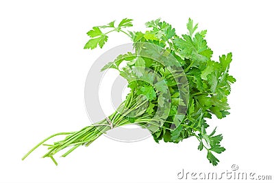 Fresh parsley Stock Photo