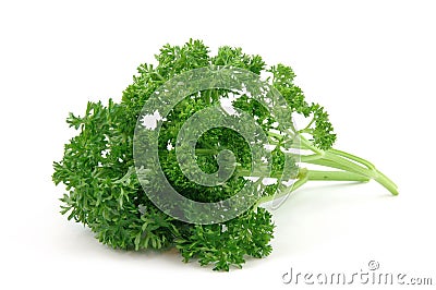 Fresh parsley Stock Photo