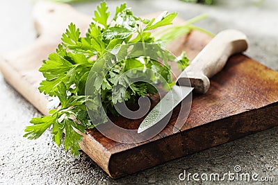 Fresh parsley Stock Photo