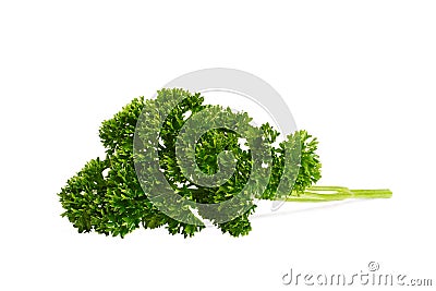 Fresh parsley. Close-up. Variant two. Stock Photo