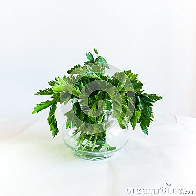 Fresh Parsley in a Glass on white Background. Healthy Herbs. Cook ingredients. Nature Pattern Stock Photo