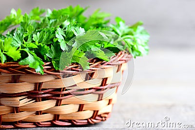 Fresh parsley leaves in a basket. Dietary source of antioxidants, folic acid, vitamin K, vitamin C and vitamin A Stock Photo