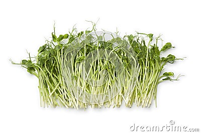 Fresh pea shoots Stock Photo