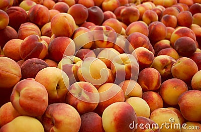 Fresh peaches Stock Photo