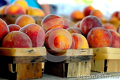 Fresh peaches Stock Photo