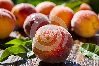 Fresh peaches, Peach close up fruit background, peach on wood ba Stock Photo