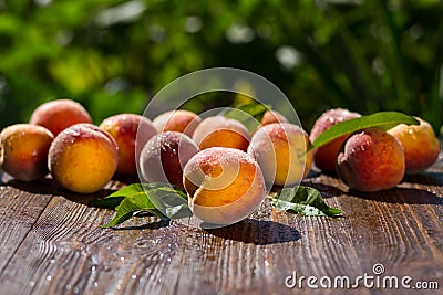 Fresh peaches, Peach close up fruit background, peach on wood ba Stock Photo