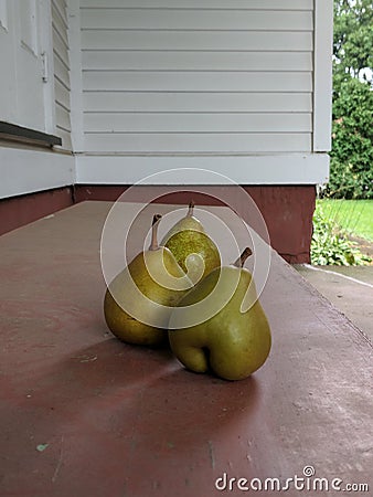 Fresh pears Stock Photo