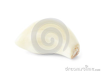 Fresh peeled garlic clove Stock Photo
