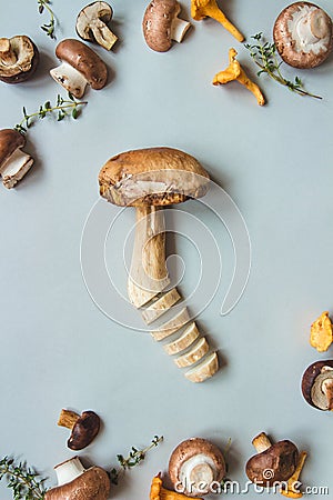 Fresh penny bun mushroom with mixed mushrooms on the blue background, top view Stock Photo