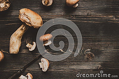 Fresh penny bun mushroom on the wooden black table, top view Stock Photo
