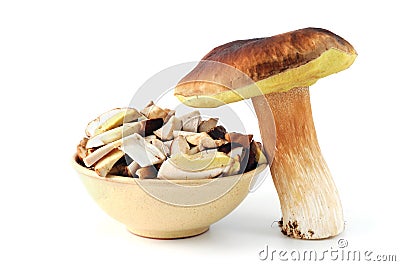 Fresh penny bun mushrooms on white background Stock Photo