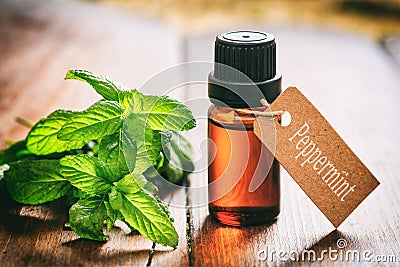 Fresh peppermint and oil on wooden background Stock Photo