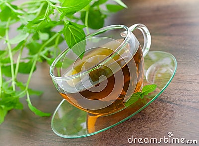 Fresh peppermint tea Stock Photo