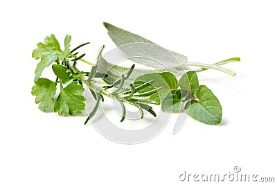 Fresh-picked Herbs Stock Photo