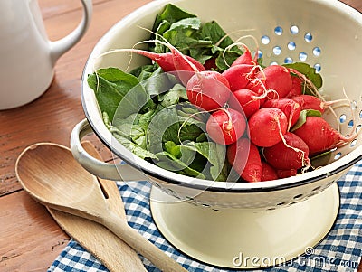 Fresh picked Radishes Stock Photo