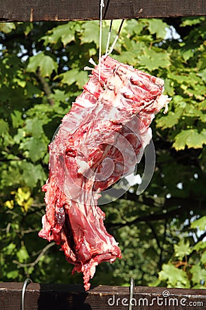 Fresh pig meat Stock Photo