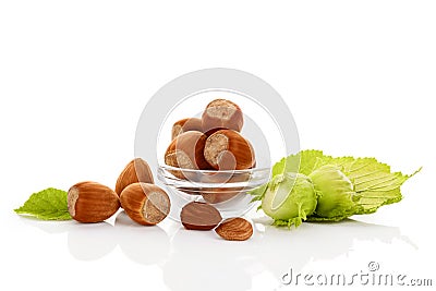 Fresh pile of Hazelnuts. Stock Photo