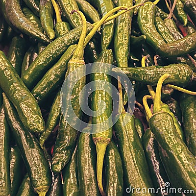 Fresh Pile Of Spicy Green Chili Pepper Stock Photo