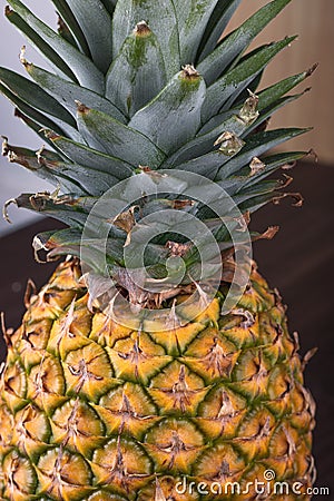 Fresh Pineapple being seen from a the top on a brown wooden table. Stock Photo