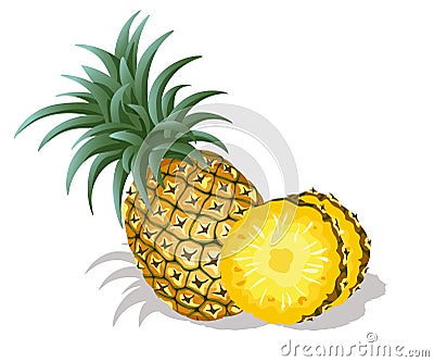 Fresh pineapple Vector Illustration