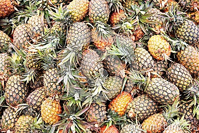 Fresh pineapples at an outdoor market Stock Photo