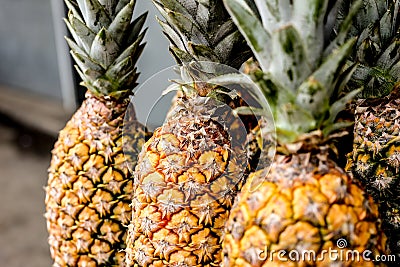 fresh organic pineapples Stock Photo