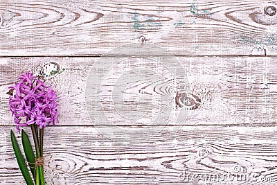 Fresh pink flowers hyacinths on white wooden table. Top view, copy space. Stock Photo