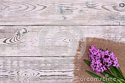 Fresh pink flowers hyacinths on white wooden table. Top view, copy space. Stock Photo